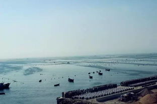 旅顺的塔河湾与和平公园：被遗忘的角落