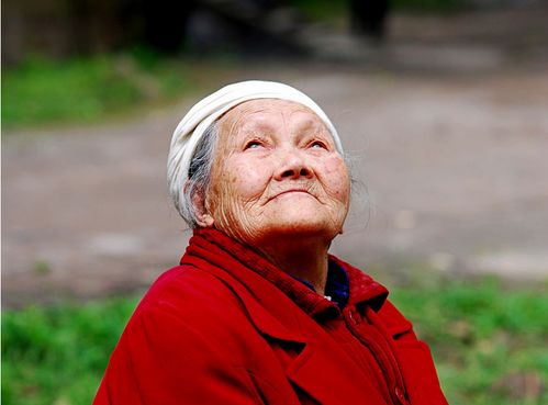 噪音提示：（此处请自行想象风声、狗叫、邻居喊菜名）