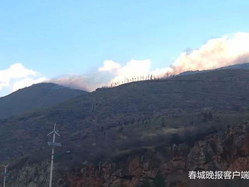 神龙传说？不如先看看巨大妈们的“拆船现场”