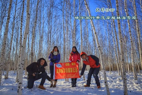 第二天：白桦林深处——雪地里的“童话森林”+