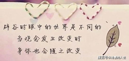 饿到灵魂出窍：当代都市人必修课