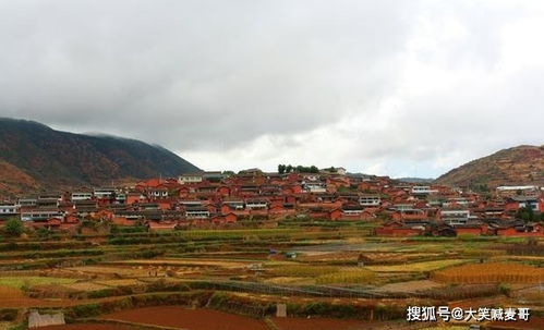 第三次 2024 年清明 —— 蔓耗小径风景美但凶险系数爆表