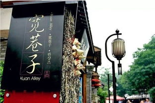 七、 宽窄巷子：城市心脏跳动的声音（以及各种奇怪的小摊）