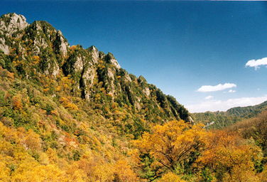 三、 东海半边山——形似麒麟，风光绝佳