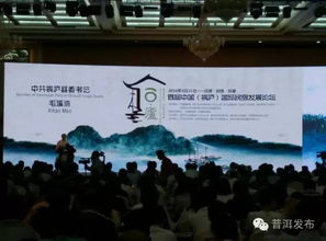 文化底蕴活动点亮夜空——灯笼节、 铁花秀、马拉松