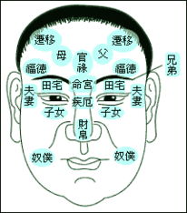 如何通过面相图解和眉毛大全来预测命运？