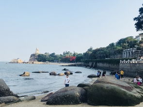 1. 环岛路：海风轻巧拂下的浪漫