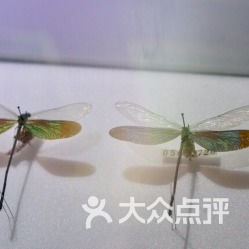 第一章：为哪些会有这么较高？