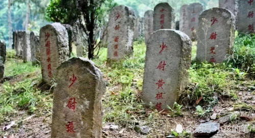 福鼎找墓地风水,福鼎古宅