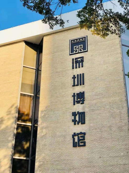 2. 博物馆与展览：艺术创作狂欢派对