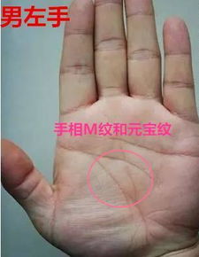左右双龙纹手相，这是什么手相特征？