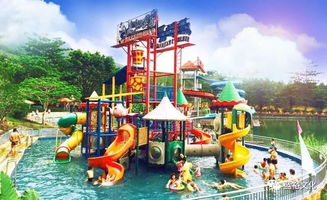 血泪数据大公开