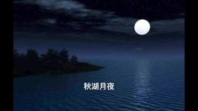 噪音与情感交织—乱七八糟的感官刺激