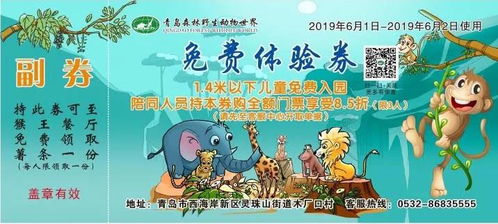 三、亲子时光：混乱与欢乐并存