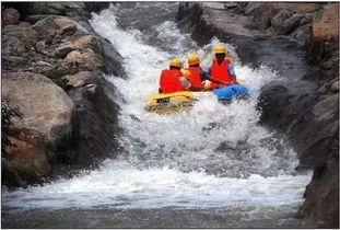 别被“最刺激”忽悠！2024年洛阳漂流避坑指南