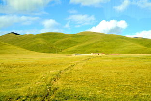 深度吐槽！旅游业太黑暗了！
