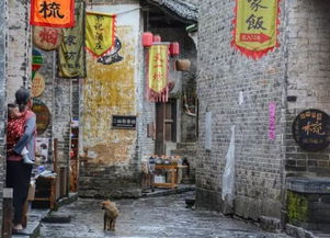 味蕾之旅