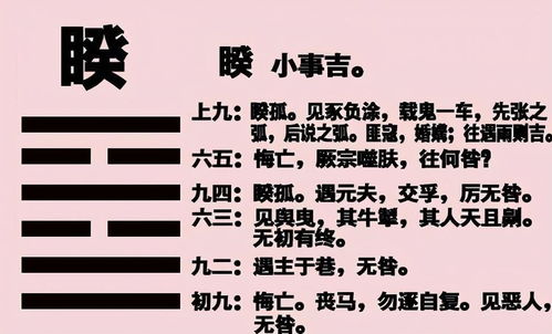 地支外环境类象