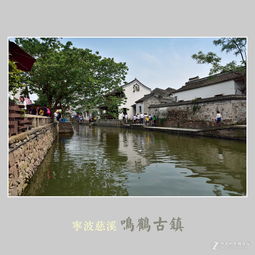 晨雾里的碎碎念
