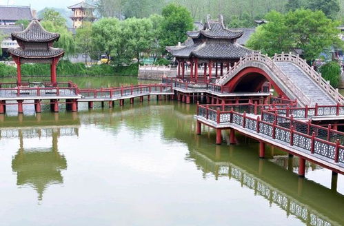 一、 赏花胜地：春日限定的浪漫之旅