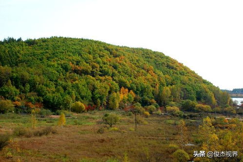 赣州度假村：一个巨大的旅游骗局？！