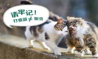 吓死！这些宠物疾病太可怕了