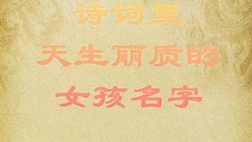 起名是一门艺术，也是一种责任与传承……