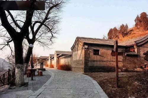 龙神寺：千年禅意