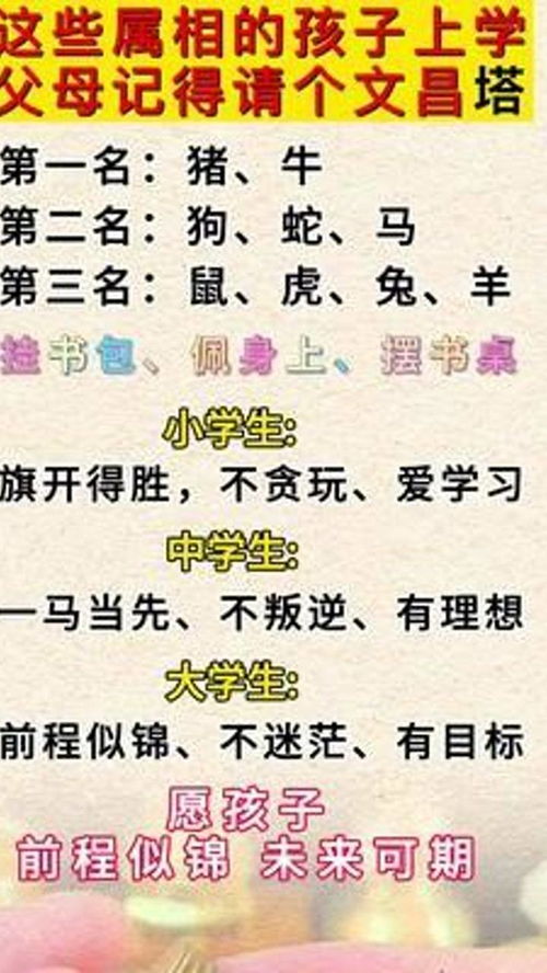 四、生肖配对解读——鼠牛相冲还是牛羊相合？