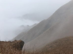奇怪的云海