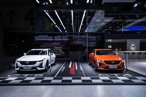 洋鬼子来了：国际展区的奢华味道