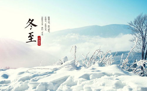 海南冬至：古韵今风，传统与现代交融盛宴