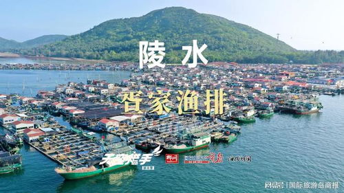 陵水疍家渔排：被遗忘的海上生活图鉴？比蜈支洲岛更真实实！