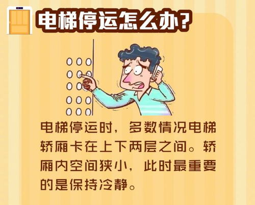 专家解读（其实就是我瞎编的）