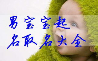 鸡年取名带月字有哪些寓意深远的名字推荐？