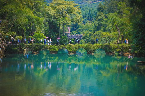 住进风景里？还是住进样板间？