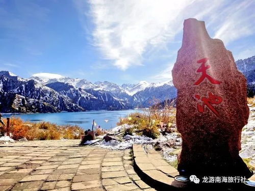 听听别人怎么说真实案例分享！