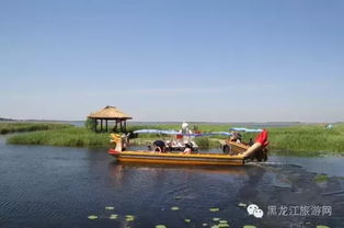 扎龙湿地：大自然的画卷