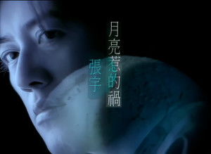 都是月亮惹的祸？