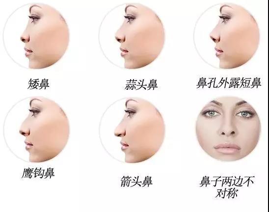一、生肖视角下的“较长鼻”传说