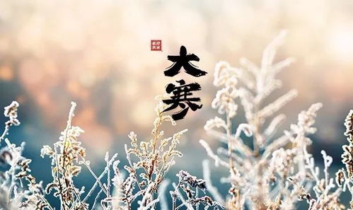郓城立冬：传统习俗，暖意融融，品味古韵！
