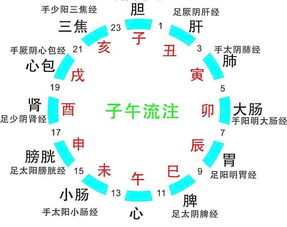 还债翻车现场合集