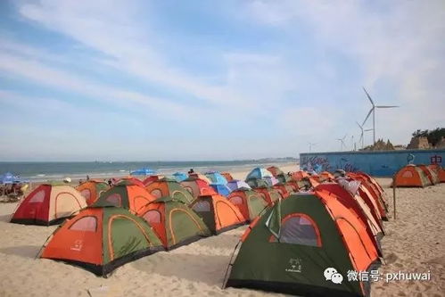 海缘湾：露营的最佳选择， 与天然亲密接触