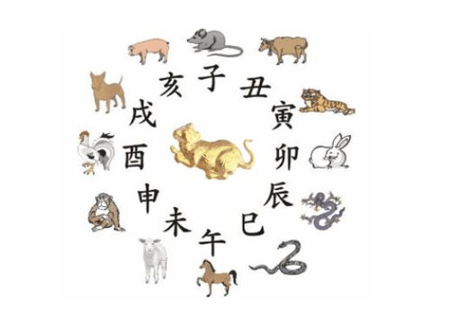 十二生肖背诵口诀中小老鼠大黄牛指的是什么生肖？