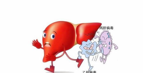 滴酒不沾的生肖是哪个？