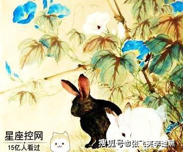 属兔女性格脾气特点及不足之处有哪些？