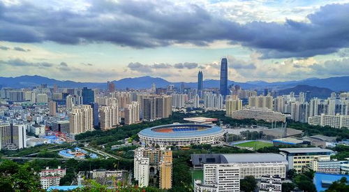 啊啊啊深圳市区！谁说这里只有搞钱？！！