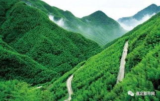 住宿惊魂夜：昆虫总动员现场直播