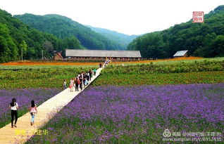 常山公园？不如叫常山停车场！