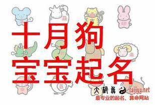 如何为2026年属狗的尹姓女孩取一个既符合金土属性又寓意美好的名字？